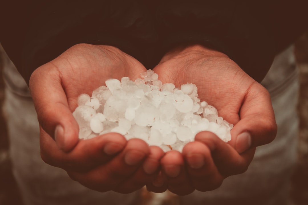 Kokosrijst: een zachte smaakmaker uit de Aziatische keuken